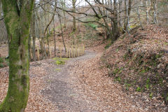 
Lasgarn Railroad trackbed, March 2009